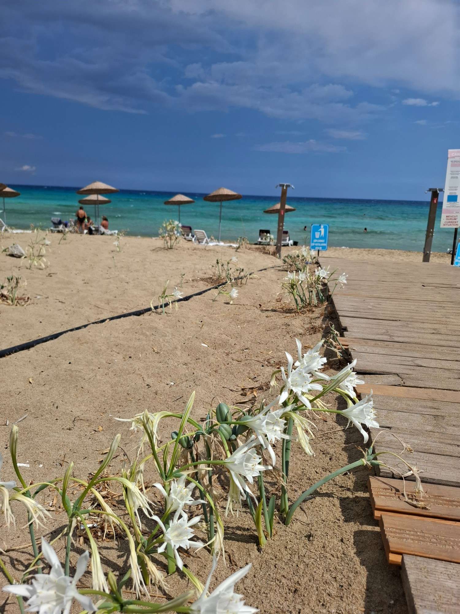 Cyprus Dream Holiday Galéria 17